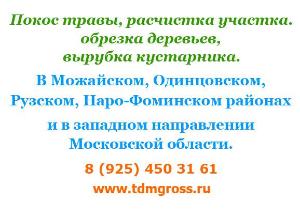 Покос травы, кошу траву, расчистка участка, уборка, обустройство территории.  101 02 Покос травы, стрижка травы, расчистка участка (1).jpg